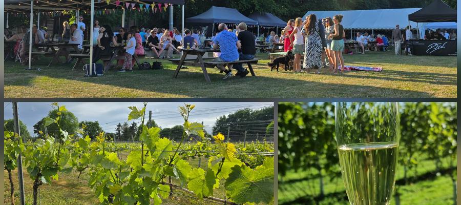 Cotswold Bankview - May Half Term in the Cotswolds 2026: Family Days Out & Events Larkhill